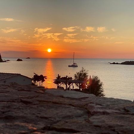 Villa Terra Casanova pieds dans l'eau à 20 mn d Ajaccio Villanova Extérieur photo